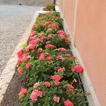 Relais Ambrosetti *